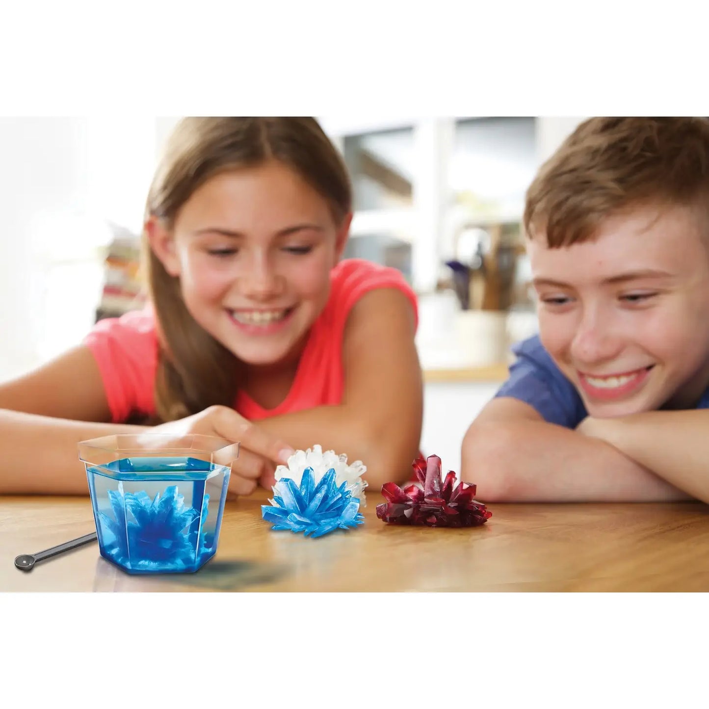Steam Powered Kids- Kitchen Science