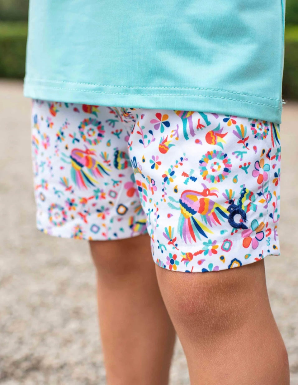 Blue Quail Otomi Swim Trunks
