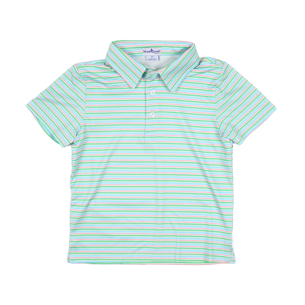 Blue Quail Sherbert Stripe Polo