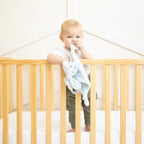 Teether Buddy-Danny the Dog