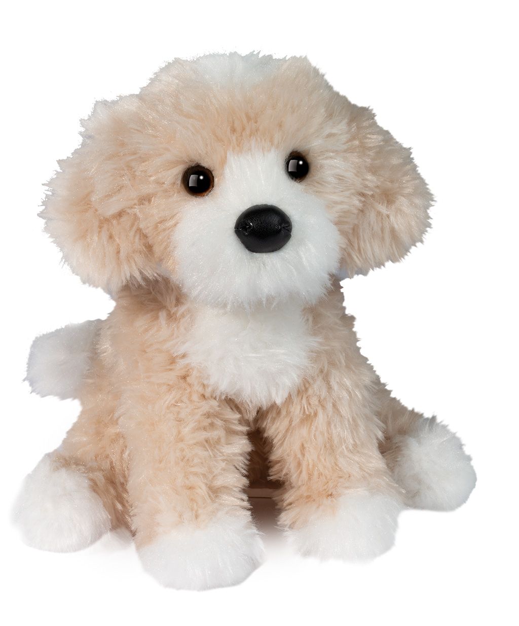 Dougals Darcy Golden Doodle