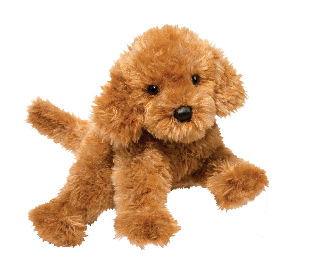 Douglas Addie Labradoodle