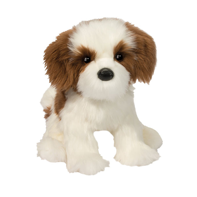 Douglas Farren Shih Tzu
