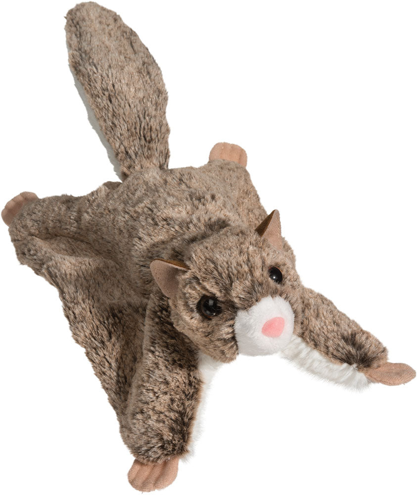 Douglas Jumper Flying Squirrel