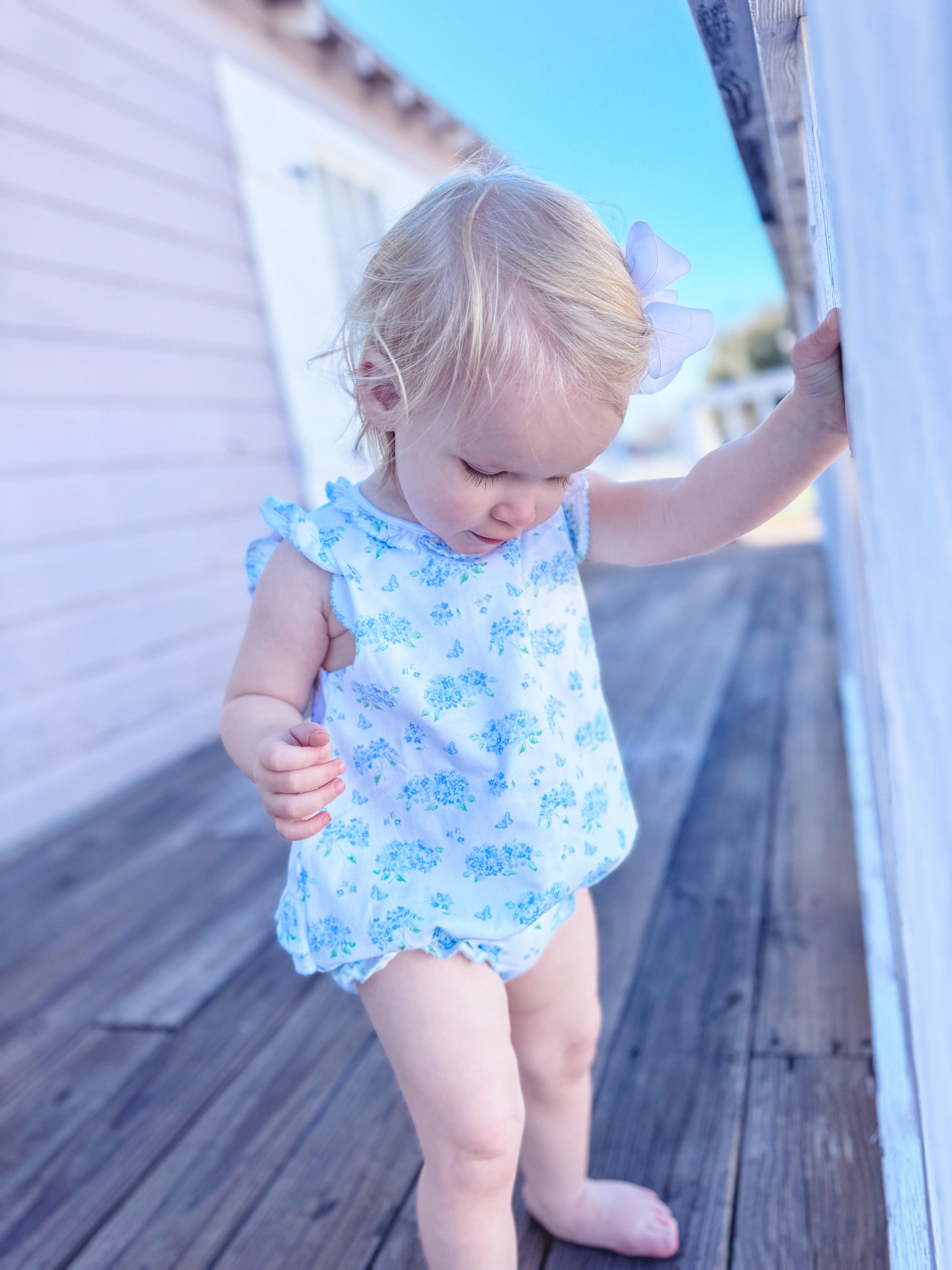 Kissy Kissy Heavenly Hydrangea - Blue