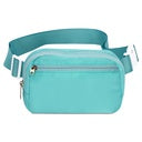 Turquoise Nylon Belt Bag